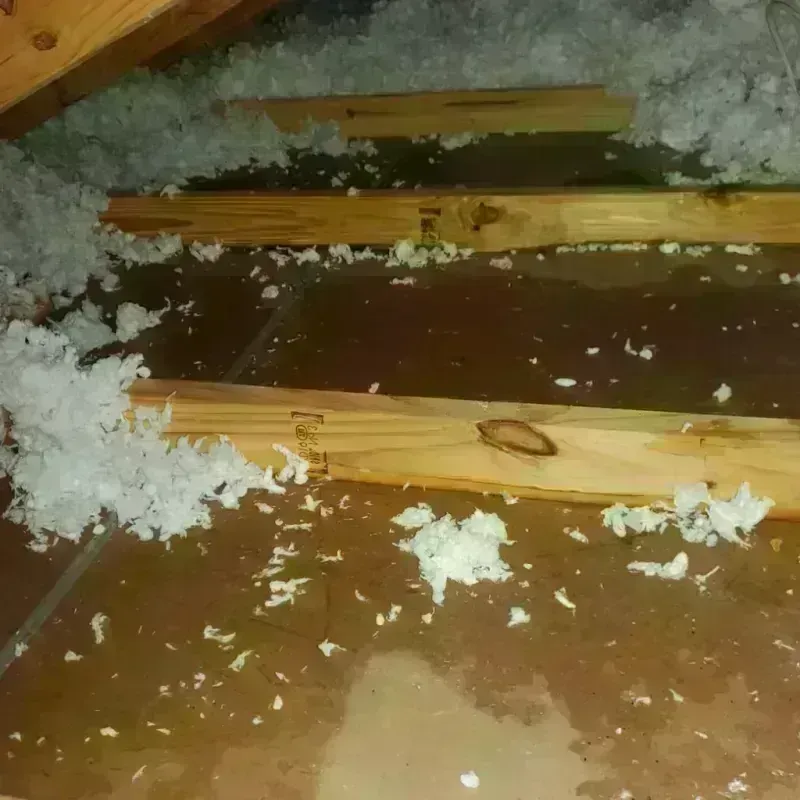 Attic Water Damage in Caban, PR